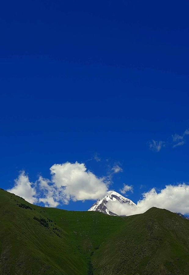 Apartamento Trip Zone Kazbegi Exterior foto