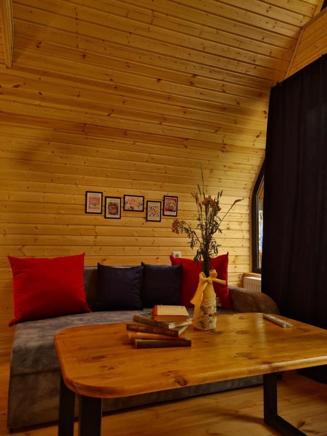 Apartamento Trip Zone Kazbegi Exterior foto